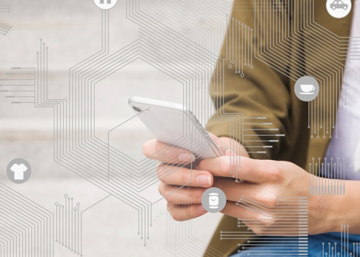 Mobilitat i web
